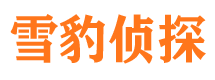 椒江侦探公司